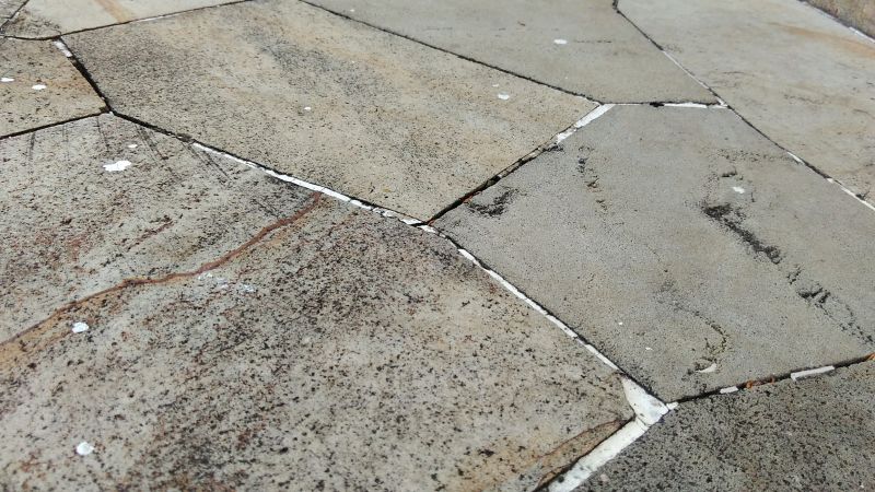 Tile and Stone Cleaning