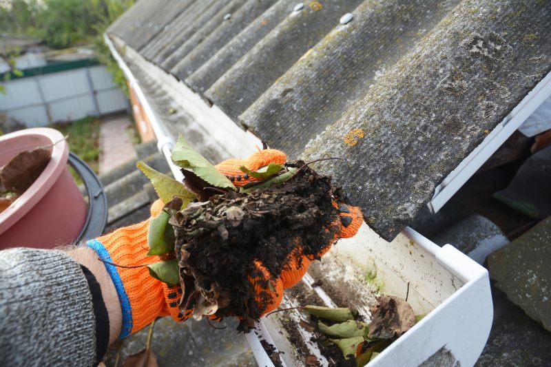 Gutter Leaves Removal in Arvada, CO