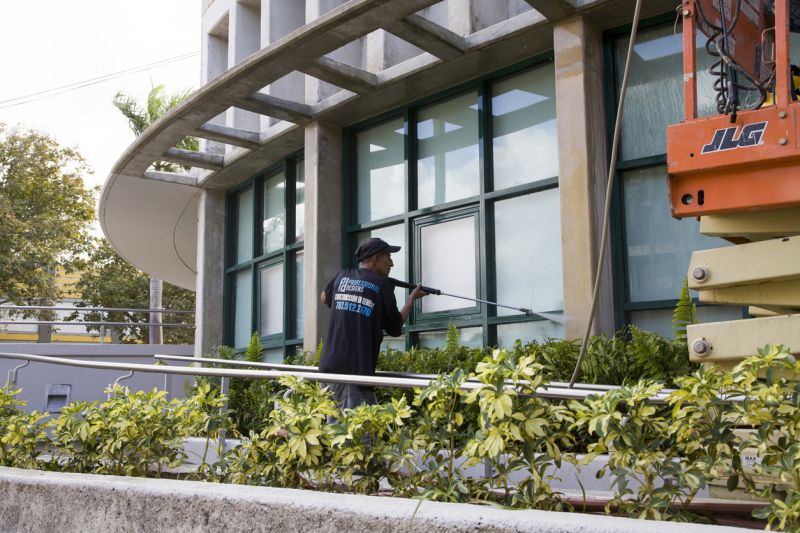 Detailed Cleaning Process